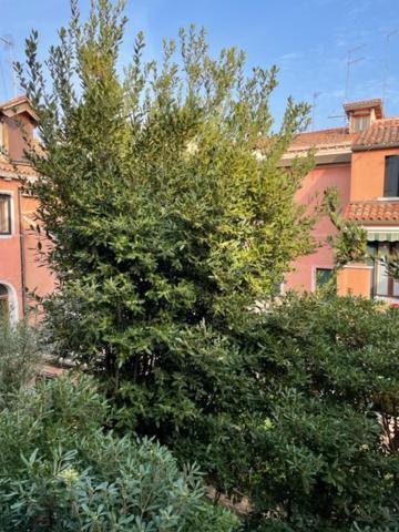 Ca' Della Carita' Lägenhet Venedig Exteriör bild